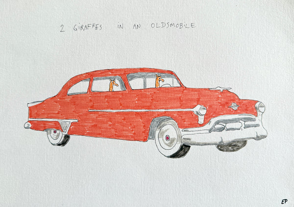 2 giraffes in an oldsmobile
