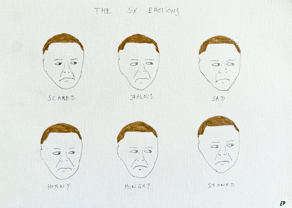 The six emotions