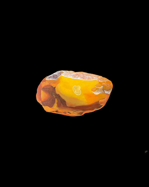 Ancient condom caught in a piece of amber