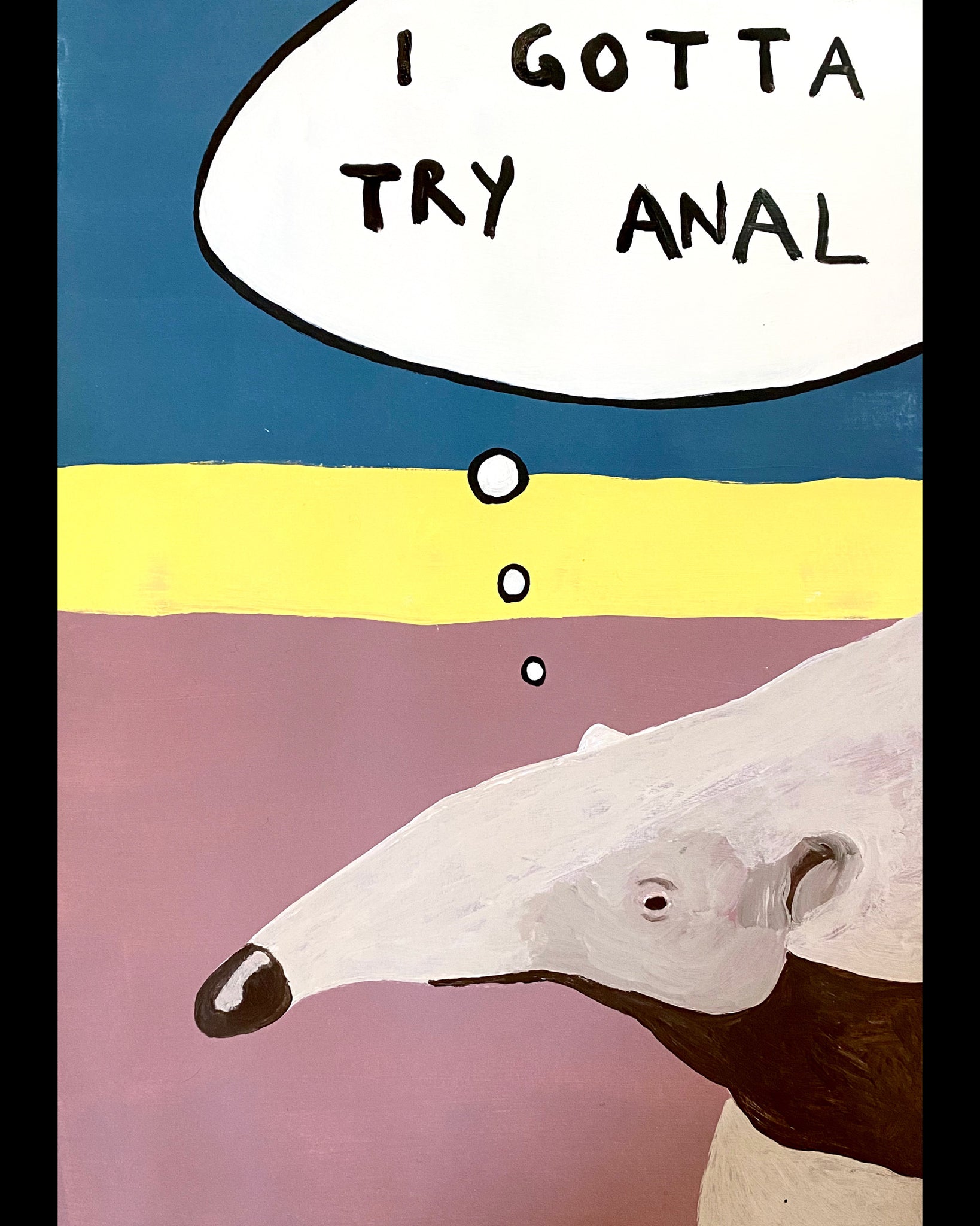 Anteater thoughts