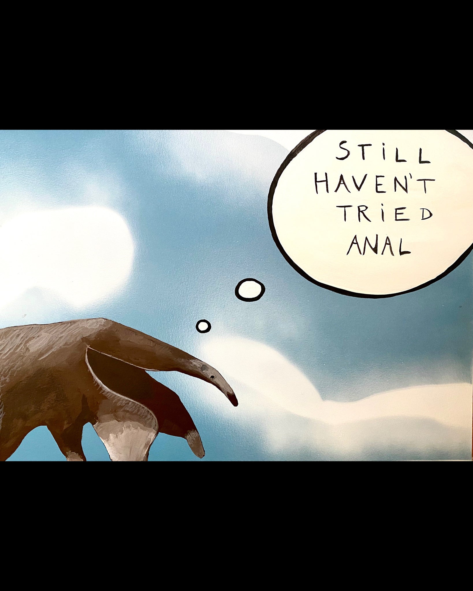 Anteater thoughts 2