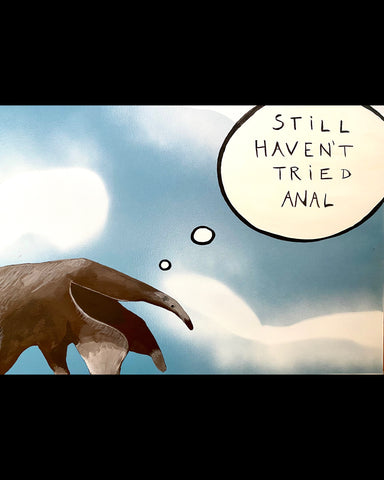 Anteater thoughts 2